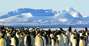 Antártida: El misterio del «agujero de gravedad» que confunde a la ciencia