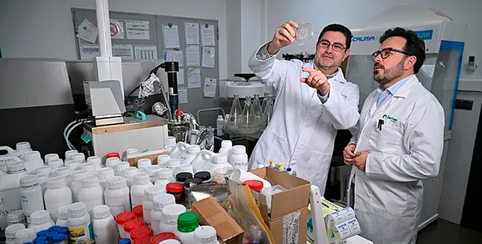 Microalgas contra el cambio climático: Biorizon Biotech multiplica sus ventas por 11