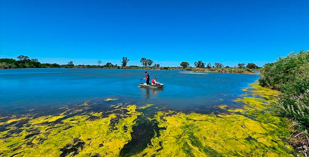Canteras abandonadas: la ciencia argentina las convierte en criaderos de pejerrey