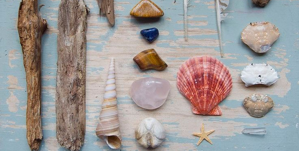 El fin de los «químicos eternos»: convierten CO2 en energía limpia con residuos de mariscos