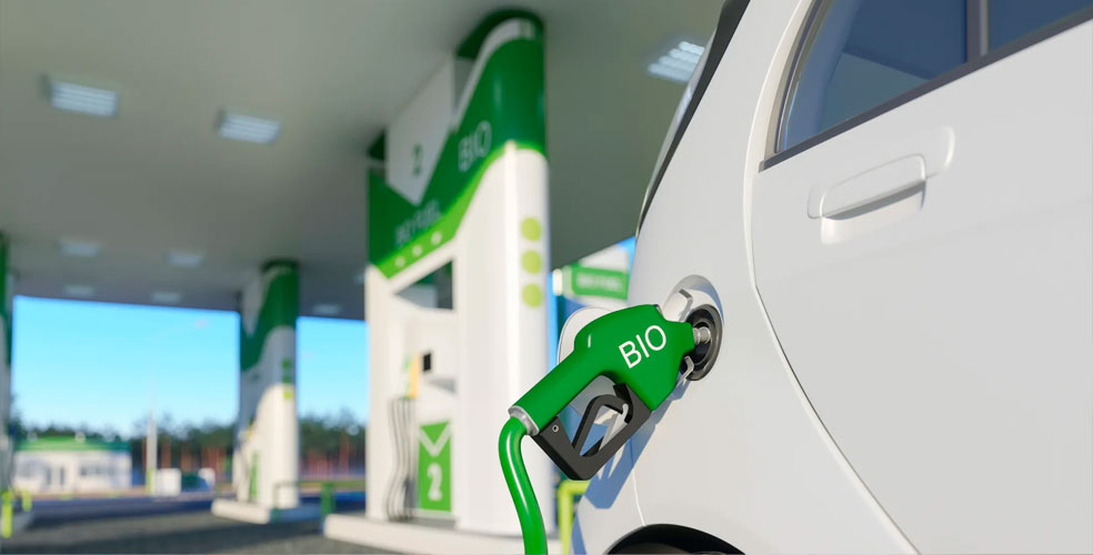 ¿Solución o trampa? El dilema de los biocombustibles ante la crisis del petróleo