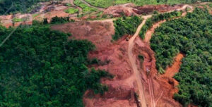 Brasil: EL agronegocio avanza sobre La Amazonia