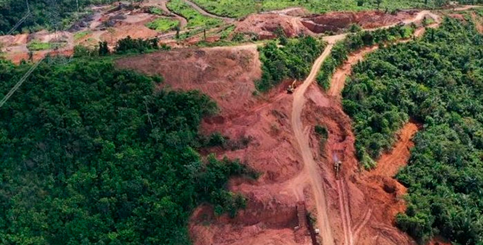 Brasil: EL agronegocio avanza sobre La Amazonia