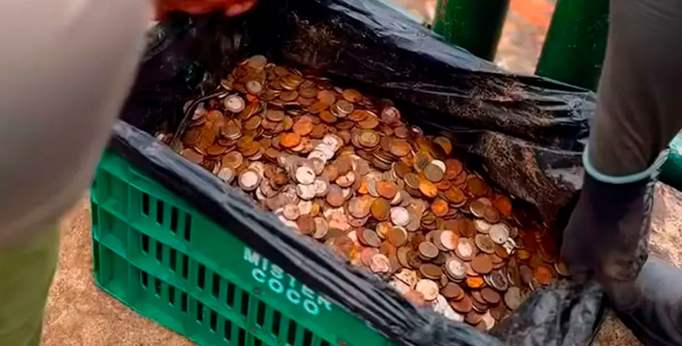 400 kilos de monedas: el «deseo» turístico que envenena las Cataratas del Iguazú