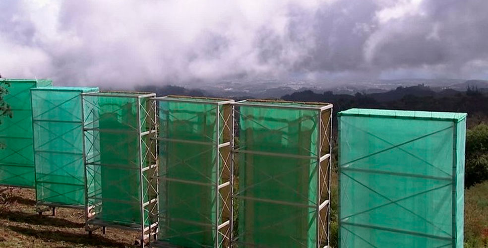 La tecnología que convierte la niebla en agua potable y salva aldeas en el borde del Sahara