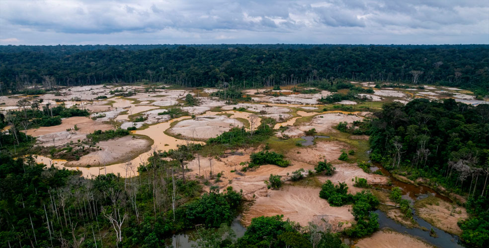 La paradoja verde: la transición energética devora la Amazonia
