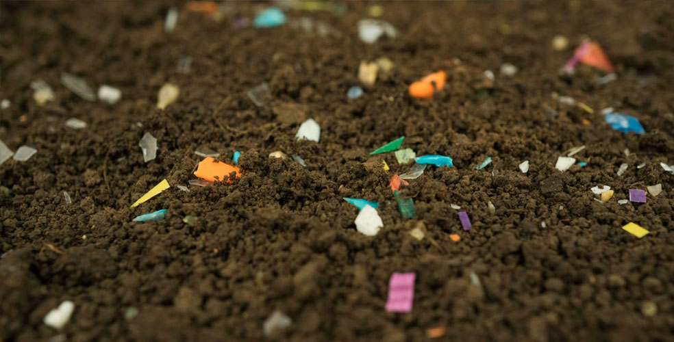 Microplásticos en la comida: la amenaza invisible que ya está en el suelo de tus alimentos