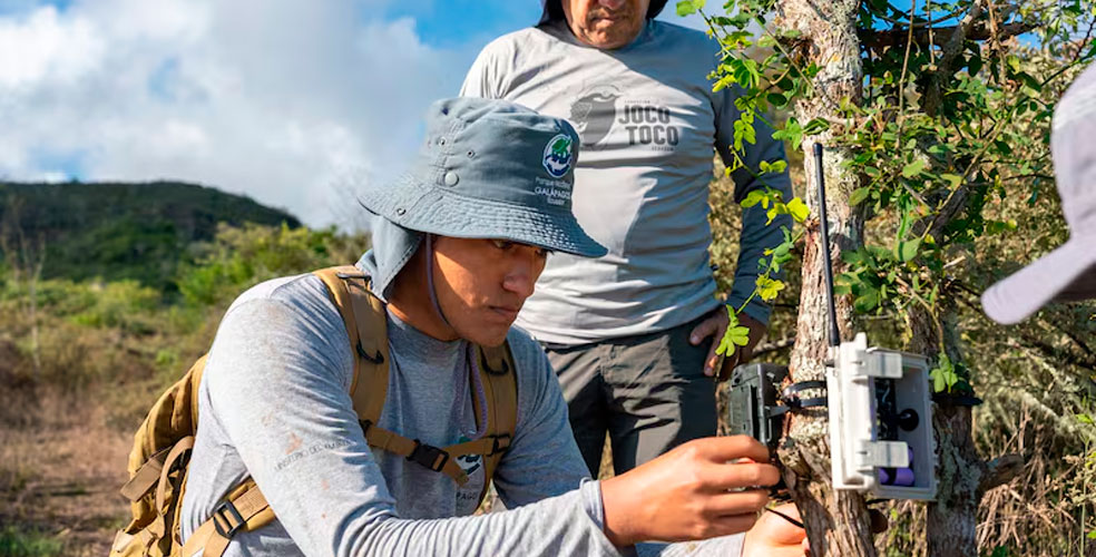 Inteligencia artificial en Galápagos: la isla Floreana vigila su fauna en tiempo real