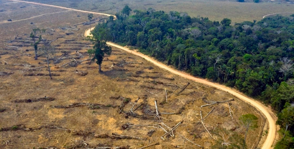 La Amazonía al borde del colapso: el punto de no retorno es ahora