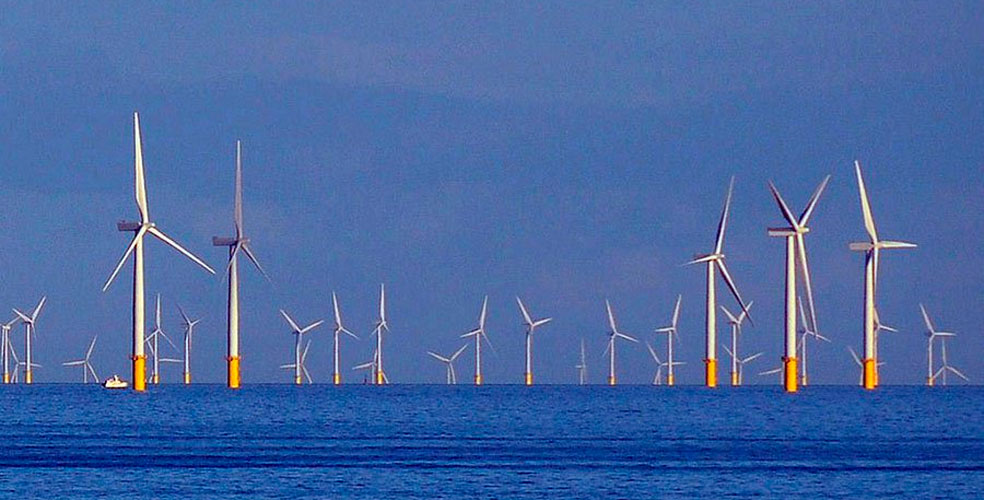 La energía «verde» que enferma al océano: científicos alertan por el impacto oculto de los parques eólicos marinos