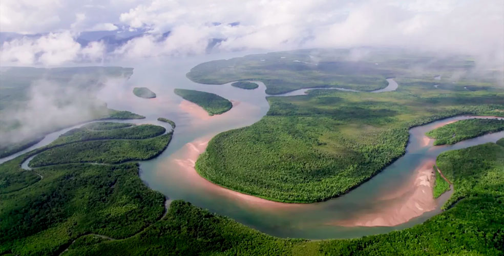Perú se une a la alianza global que busca salvar la Amazonía antes de 2030